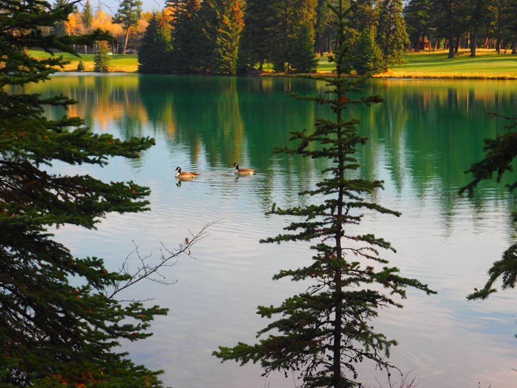 Beautiful Beauvert Lake, Jasper; MALIK MERCHANT, fairmont resort Simerg