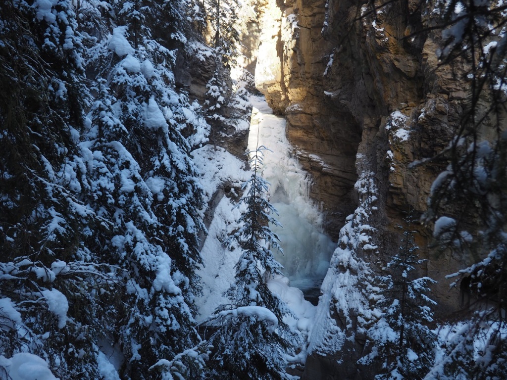 A view of Johnston Canyon's Lower Falls from a lookout point