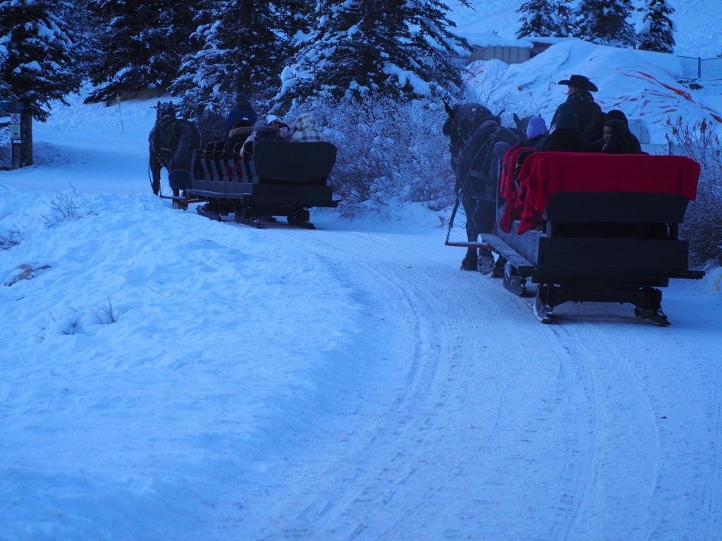 Visitors take off on a horse sleigh ride to experience the winter wonderland at Lake Louise in front of Chateau Fairmont, Banff National Park