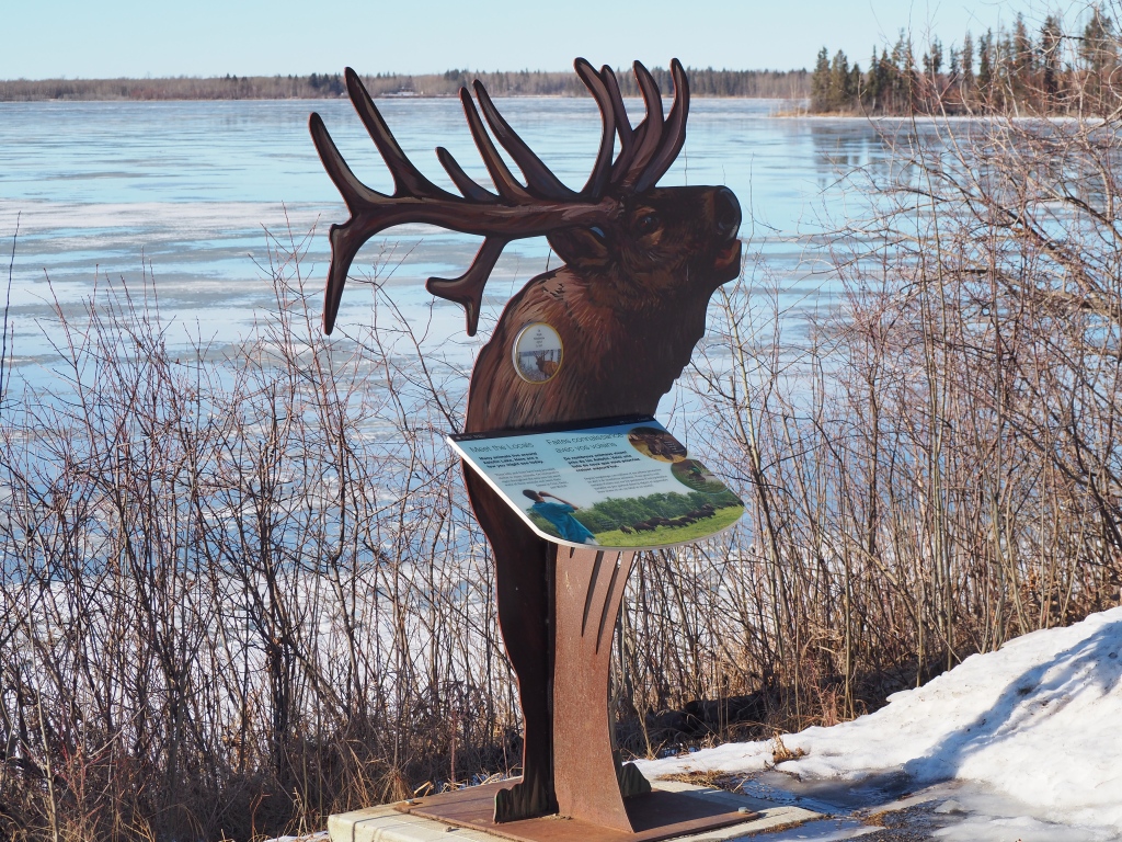 Panel display on local wildlife, Astotin Lake Recreation Area, Elk Island National Park, January 29-30, 2024. Photograph: Malik Merchant/Simerg Photos.