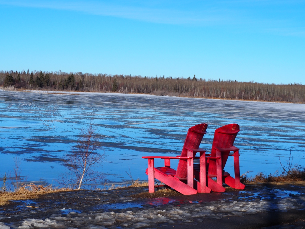 Red (Adirondack) chairs, Elk Island National Park