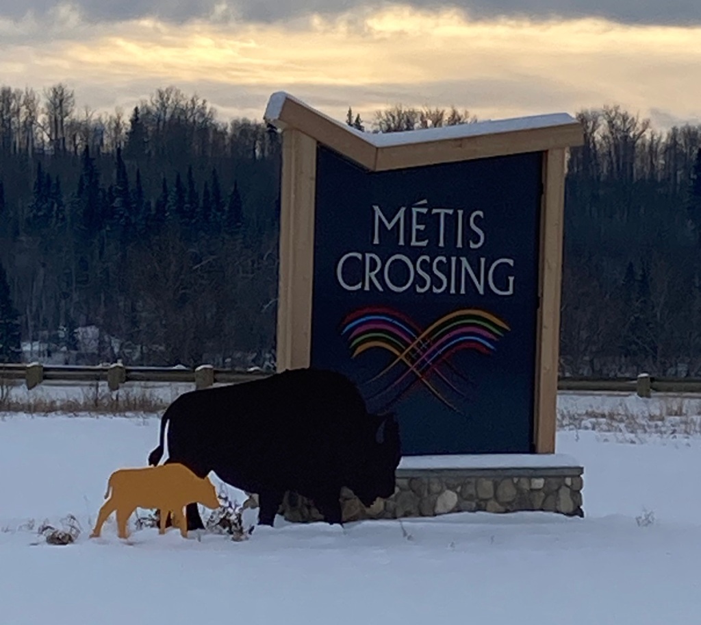 Metis Crossing Smoky Lake Alberta, Wildlife Park with White Bison, White Elks and Night Sky