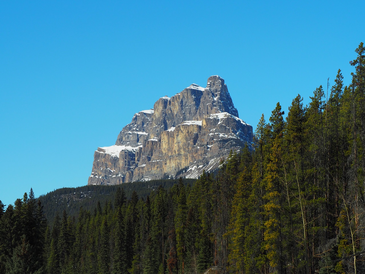 A view of Castle Mountain from the Bow Valley Parkway (Hwy 1A), Banff National Park, March 17, 2024. Photograph: Malik Merchant/Simerg Photos.